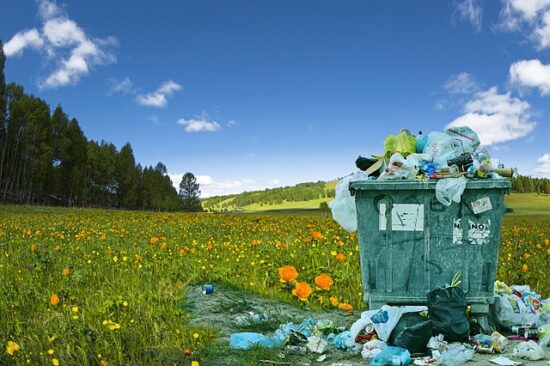 campanie iulie fara plastic 2018 emilia priceputu tuincentru.ro